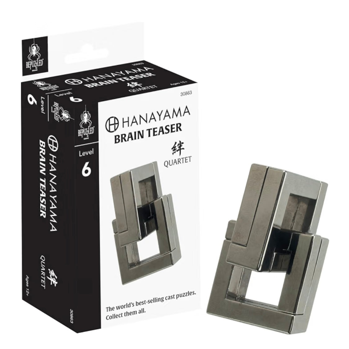 Hanayama Brain Teaser