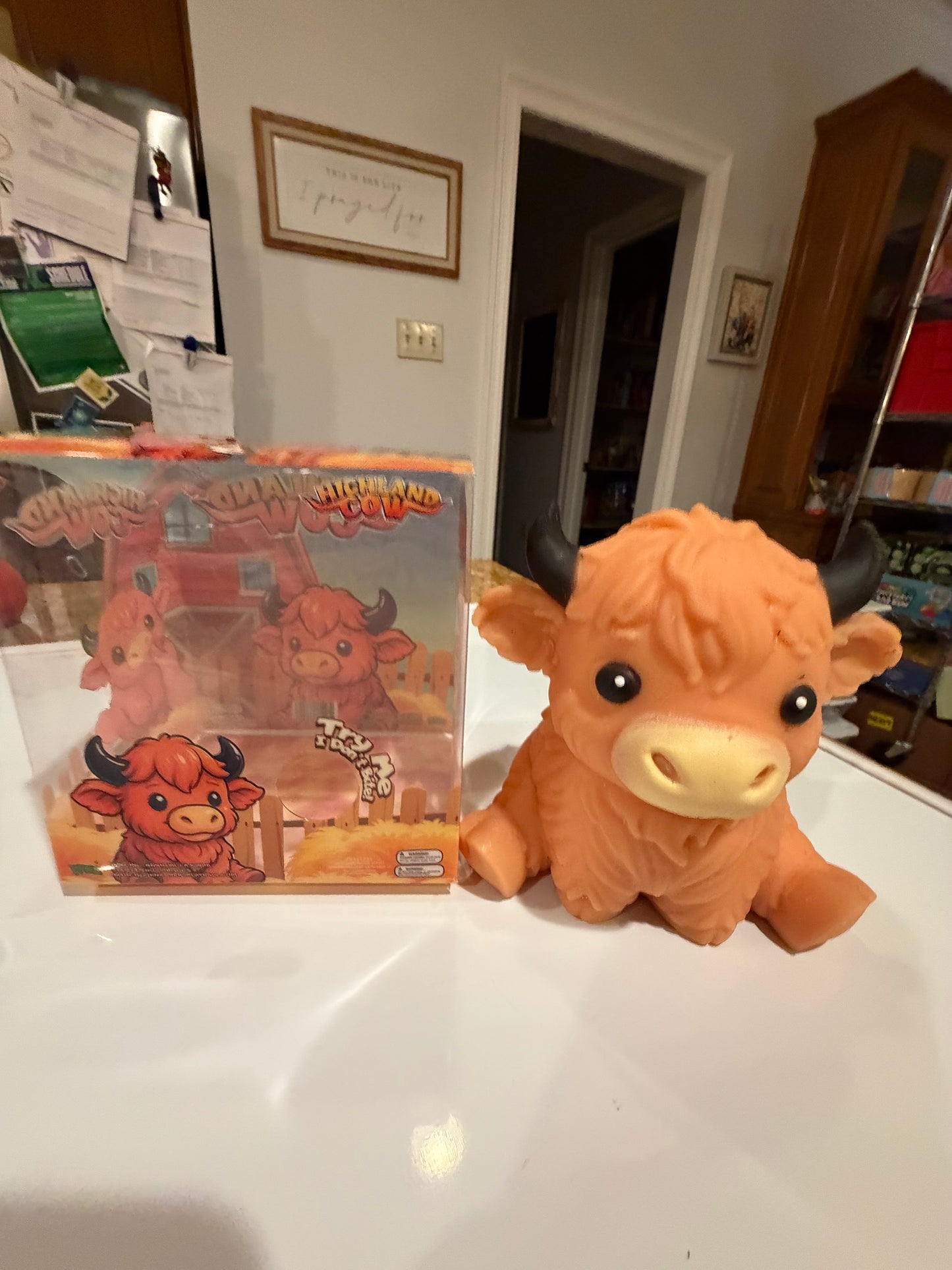 Highland Cow | Authentic PPNC