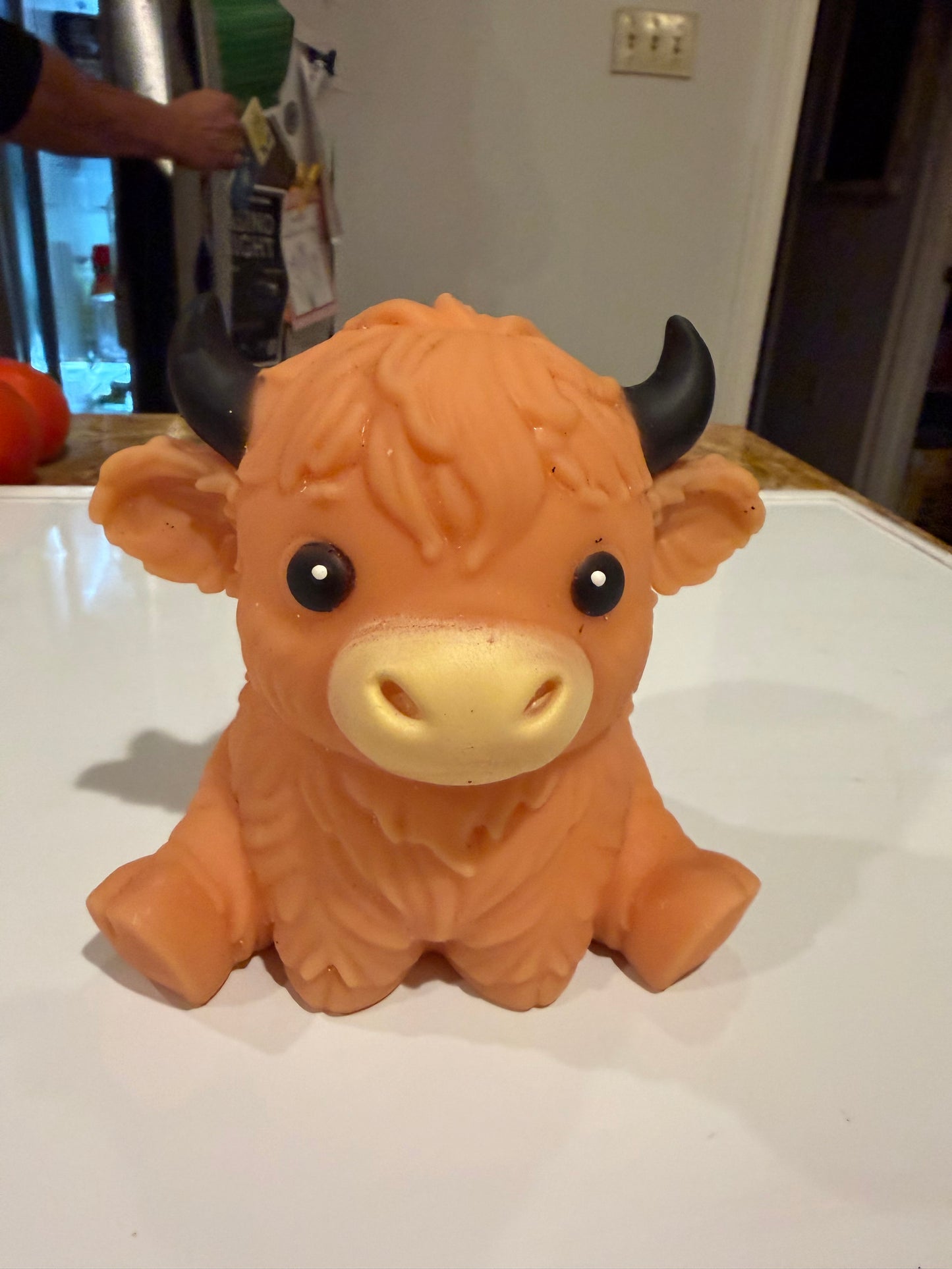 Highland Cow | Authentic PPNC