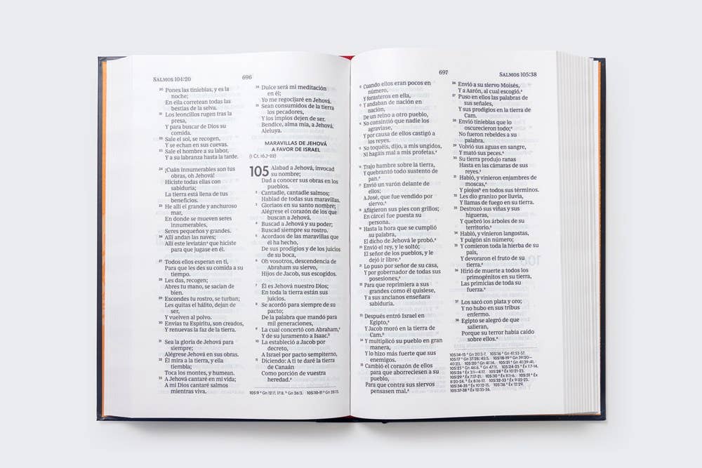 Bible Large Print Hardcover Gift Edition Reina Valera 1960