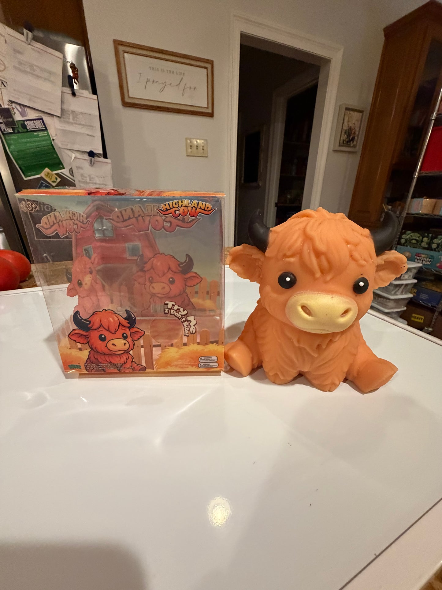 Highland Cow | Authentic PPNC