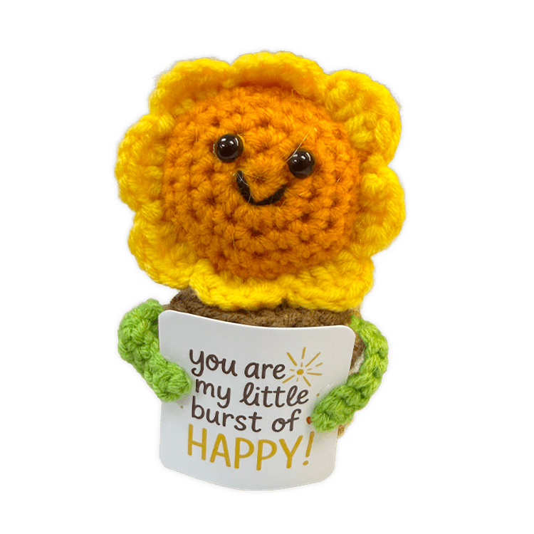Emotional Support Crochet Plush Pals - The Sensory