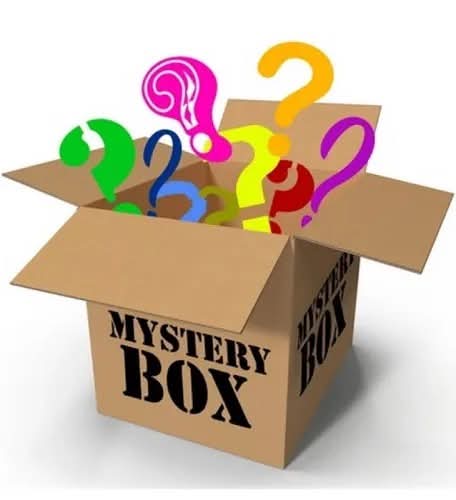 Personalized Mystery Squish Box | 4 Surprise Squishies | The Sensory - The Sensory