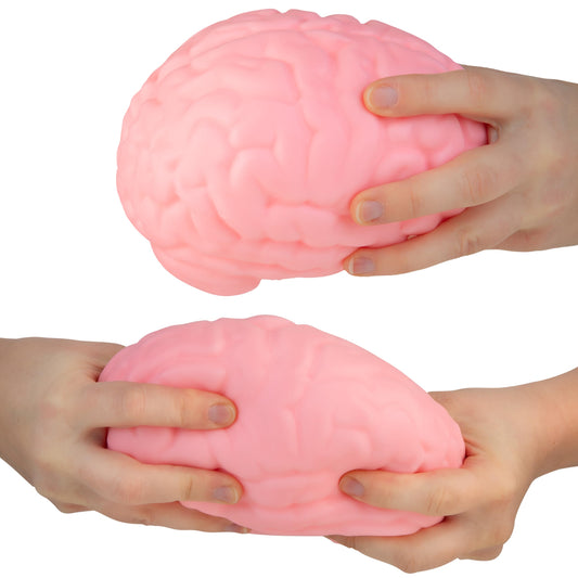 Jumbo Brain squishy