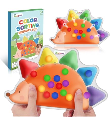 Color Sorting Sensory Toy