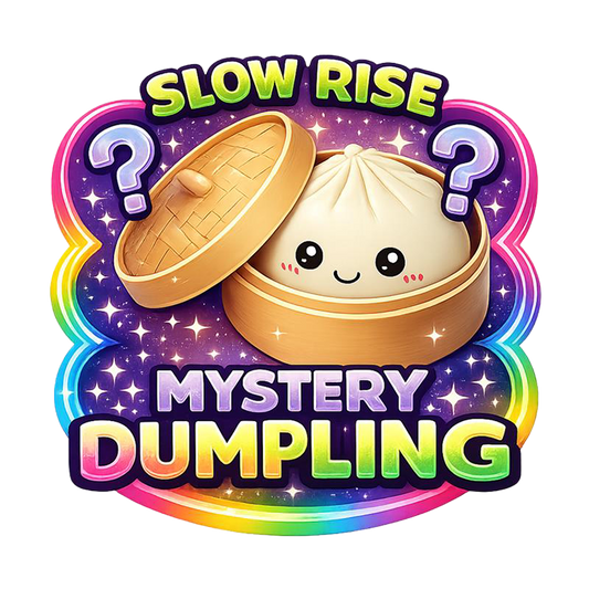 Dumpling Mystery Squishy | Slow Rise Foam | Great For Younger Children