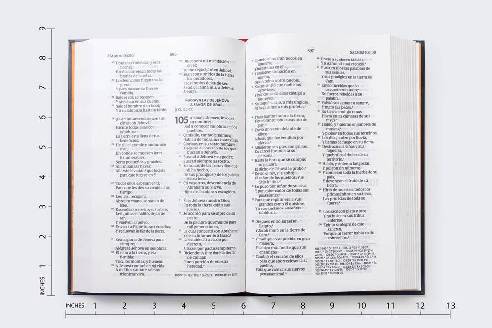Bible Large Print Hardcover Gift Edition Reina Valera 1960